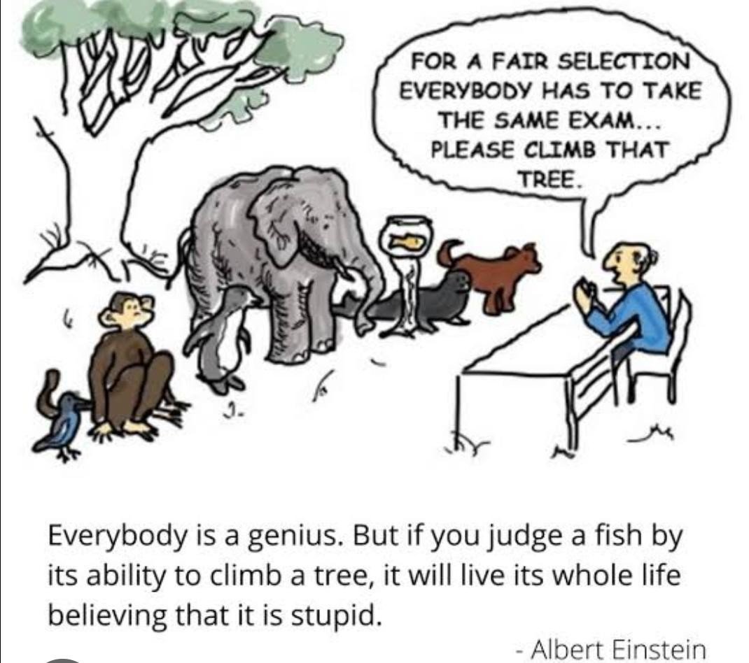 Academic W6.jpg