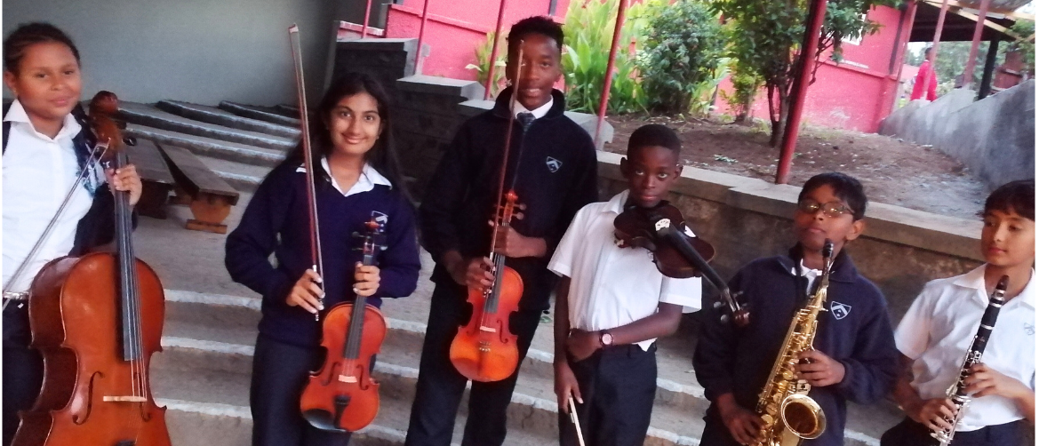 The Musical Instrument Zoo! Braeburn School