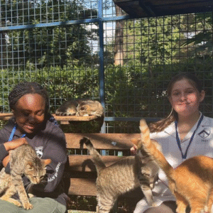 Year 10 Work Experience Week: Gaining Real-World Insights